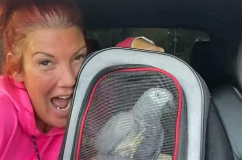 missing parrot woman charged